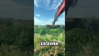 ¡Excavadora Hidráulica Limpiando Terrenos Difíciles 🌿💪 shorts [upl. by Hasile]