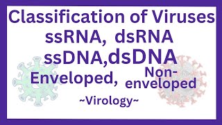 Classification of viruses ssRNAdsRNAssDNAdsDNA Envelopednonenveloped  mnemonics [upl. by Gregor]