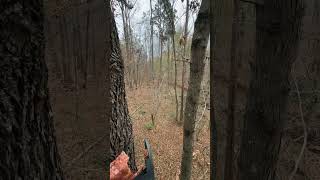 Filling feeders and checking stands whitetaildeer hunting [upl. by Dyrraj864]