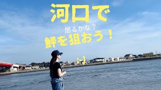 【茨城県釣り】女ひとり那珂川河口から、日立市周辺漁港へ行ったり、また河口に戻ってみたり [upl. by Glick]