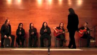 Noches de Flamenco  Noche gitana [upl. by Rudyard]