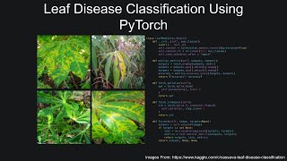 Leaf Disease Classification Using PyTorch [upl. by Dnarb]