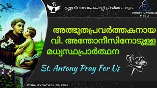 അത്ഭുതപ്രവർത്തകനായ വി അന്തോനീസിനോടുള്ള മധ്യസ്ഥപ്രാർത്ഥന  Trinity Catholic Media [upl. by Aerdnas]