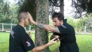 TINEA KOMBAT Master Danilo Rossi new Blade Kombat part 2 [upl. by Iturk]