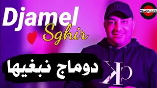 Cheb Djamel Sghir 2024 Domage Nebghiha الشيخ جمال الصغير ♥️♥️ دوماج نبغيها [upl. by Ressan]