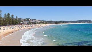 Terrigal Beach Rock Fishing  Whales Watching Dogs Park Diving etc   Central Coast travel [upl. by Yelhsa539]