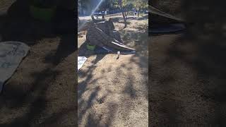 isla vista parks and recs attacks me with leaf blower 1 [upl. by Fredella767]