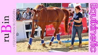 Equikinetic  Reitsportmesse Rhein Main [upl. by Elleirua]