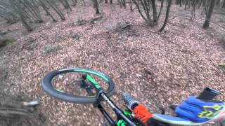 Serlin trail  downhill  freeride RAW  GoPro hero 4 session POV [upl. by Aneeg]