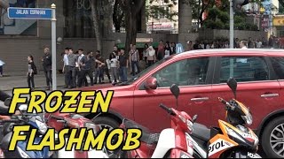 Frozen Flashmob [upl. by Berni]