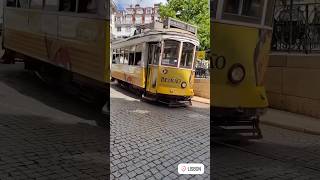 Highlights of my recent trip and best things to do in Lisbon Portugal lisboa shorts benfica [upl. by Anilorak851]