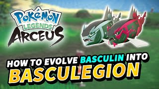 How to evolve BASCULIN into BASCULEGION New evolution  Pokemon Legends Arceus [upl. by Norred972]