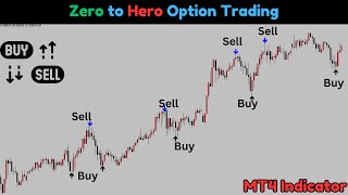 From ZERO to Option Trading Hero in Just 30 Days [upl. by Oznarol]