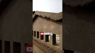 Mmodern ceiling plaster design vlogs videos nature construction viralvideo nice home [upl. by Ahsikar]