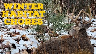 Winter Habitat Projects You Can Do NOW [upl. by Viviana]