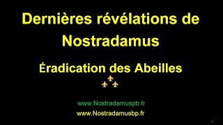 Nostradamus entrevoit la fin des abeilles [upl. by Morel]