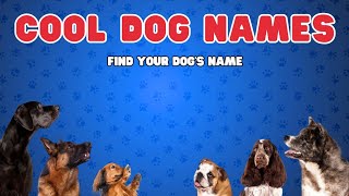 Cool Dog Names amp Meanings Find Your Pups Perfect Name [upl. by Gotthelf709]