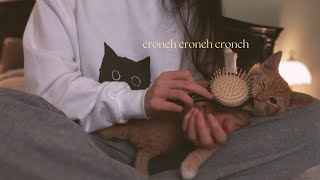 ASMR Kitten Spa Dayfail [upl. by Arhna]