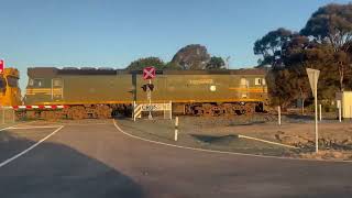 Pacing the Tocumwal Freight  G524 BL32 and XR554 [upl. by Kcirde880]