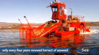 Film seaweed harvesting SeaCell™ EN [upl. by Ursi]