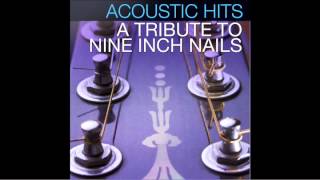 Nine Inch Nails quotRingfingerquot Acoustic Hits Cover Full Song [upl. by Aramanta]