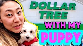 DOLLAR TREE WITH MY PUPPY 🐶 I Let My Puppy Buy Anything She Wants [upl. by Azalea53]