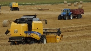 Nieuwe New Holland TC5070 combine Trekkerweb testdrive [upl. by Gnuhp]