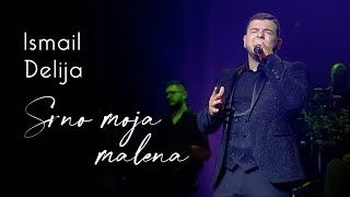 Ismail Delija amp orkestar Borka Radivojevića  Srno moja malena [upl. by Eiggem802]