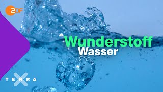 Was die Anomalie des Wassers bedeutet  Terra X plus [upl. by Rexanne]