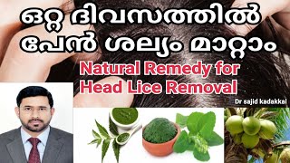 Natural Remedy for Head Lice Removal ഒറ്റ ദിവസം കൊണ്ട് പേൻ ശല്യം മാറ്റാൻ ഒരു നാച്ചുറൽ മരുന്ന് [upl. by Churchill]