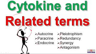 Cytokines and related terms [upl. by Zilber]