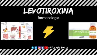 Levotiroxina ⚡️ farmacocinética y farmacodinámia ⚡️ mecanismo de acción de la hormona tiroidea [upl. by Christos]