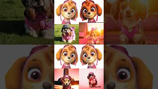 Real Dog Transforms With Paw Patrol Rescue Song 🚨🔥🎵pawpatrol ​⁠ [upl. by Hurd998]