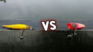 Umpan mana yang terbaik WTD vs POPPER Lure [upl. by Shaylah592]