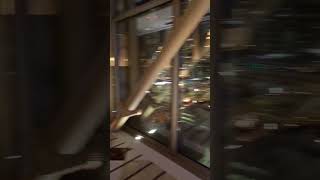 Gevora hotel bridge in dubai gevora hotel nightlife dubai tour tourism [upl. by Mommy]