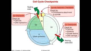 Oncogenes  Protooncogenes  Tumor suppressor genes [upl. by Hukill929]