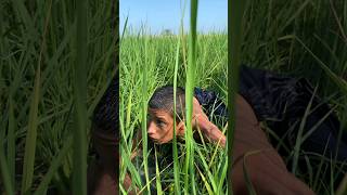 Allah ne jan bacha li india islamicvideo vairalvideo shorts emotional usa foryou [upl. by Ahsyad]