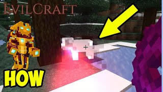 Minecraft Evilcraft VENGEANCE SPIRIT FULL GUIDE 2024 [upl. by Nol676]