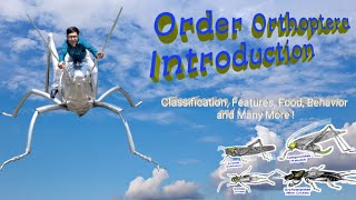 Insect Orders Part 3 Orthoptera A Introduction  By Dr Imran Khatri [upl. by Cutter664]