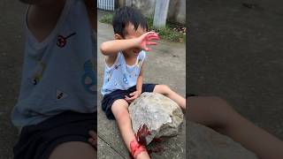 The boy was saved from being crushed by a rock by the dogLovedog dog pet [upl. by Leuas]