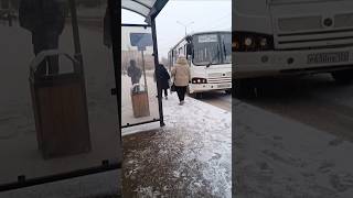 ПАЗ маршрут 3 173 МАЗ маршрут 19 автобус красноярск транспорт [upl. by Ahsemrac753]