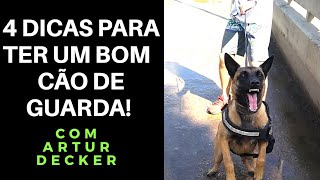 4 DICAS PARA TER UM BOM CÃO DE GUARDA com Artur Decker [upl. by Krid]