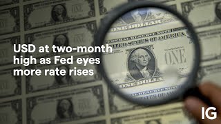 USD at twomonth high as Fed eyes more rate rises [upl. by Annelak]