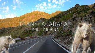 Transfagarasan Full Driving 90km Romania l The Greatest Driving Road in the World Bears 2024 4K [upl. by Harbard]