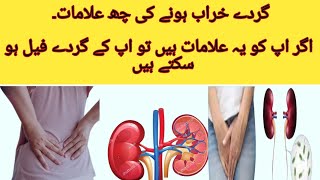 6 Early Warning Signs of kidney Disease in urdu  Gurde kharab hone ki Alamat [upl. by Mcgill]