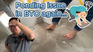 Renovation LIVE On Site  Ponding Issue in New BTO 新 BTO 中的积水问题 [upl. by Annasus]