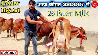 26 लीटर तक दूध 31000₹ से कीमत शुरू 👍 15 Cow Available For sale 👌 Gir Sahiwal Cholistani Rathi Breed [upl. by Ofloda]