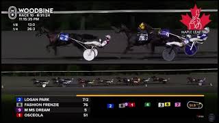 Maple Leaf Trot 2024  Periculum amp Scott Zeron 1504 1609m [upl. by Otrebtuc748]