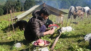 Boar Feast Cooking In Rural Village Camping With Shepherds [upl. by Marinna]