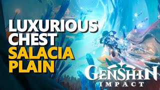 Fontaine Salacia Plain Luxurious Chest Genshin Impact [upl. by Ttayh]